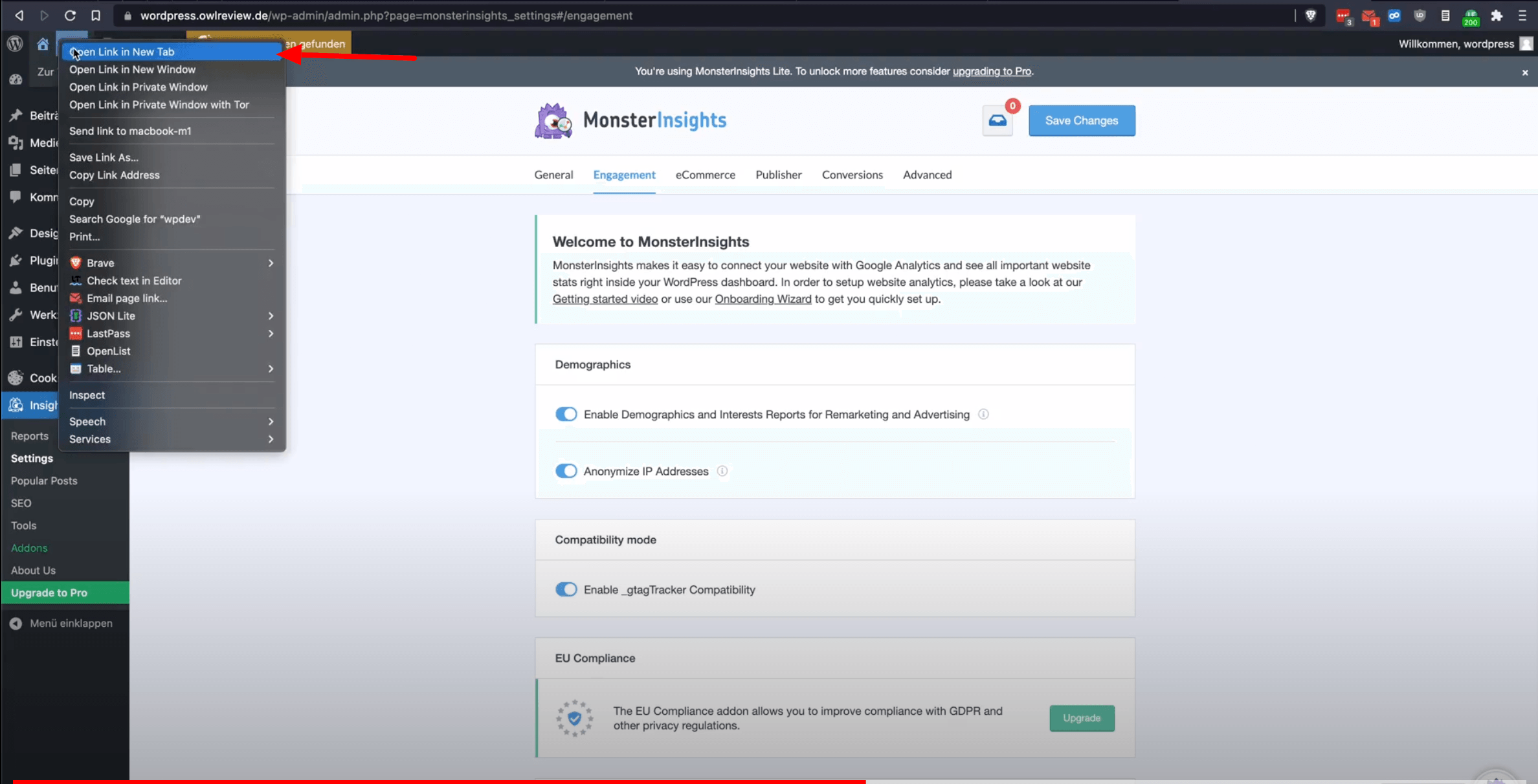 Open Frontend In New Window