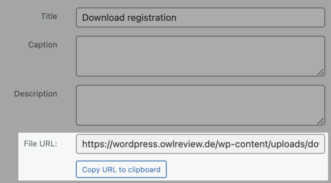 Copy Media URL WordPress