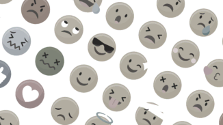 Disable Emojis WordPress