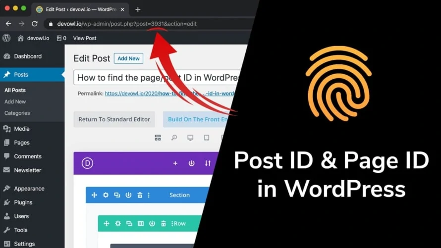 Post ID and Page ID in WordPress