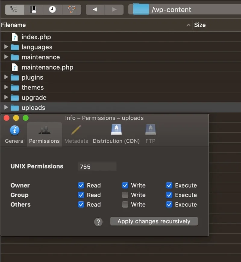 Set permissions of uploads to 755 in Cyberduck