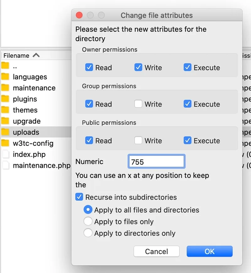 Set permissions of uploads to 755 in FileZilla