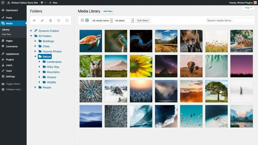 Ordnerübersicht in der WordPress Medienbibliothek
