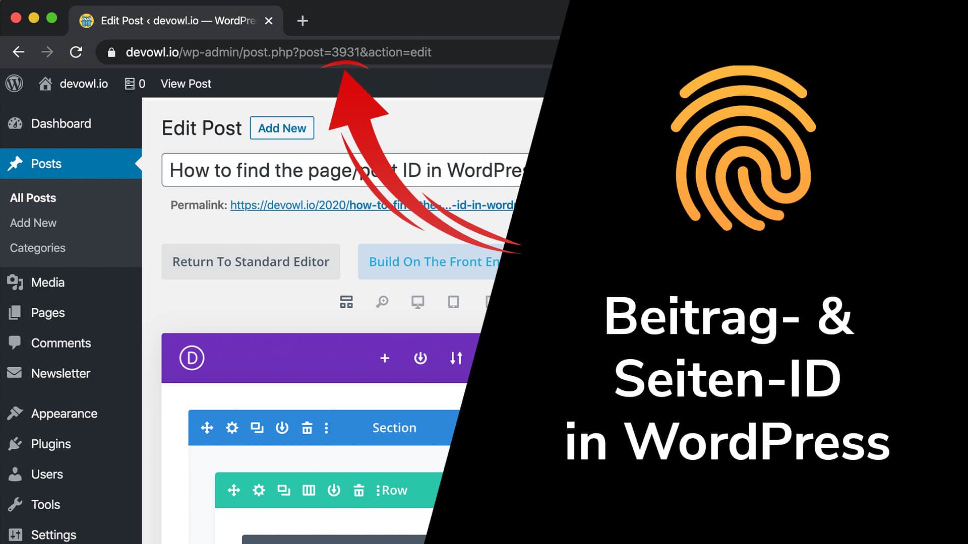 Beitrags-ID und Seiten-ID in WordPress