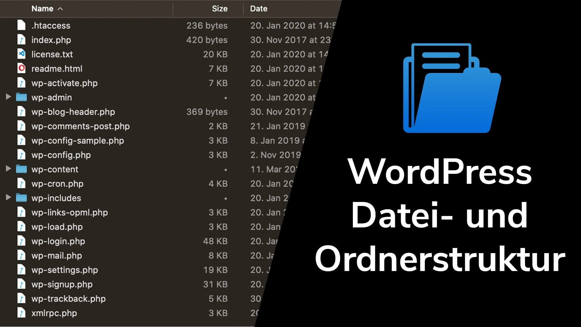 WordPress-Ordnerstruktur: wp-content/ Ordnerstruktur