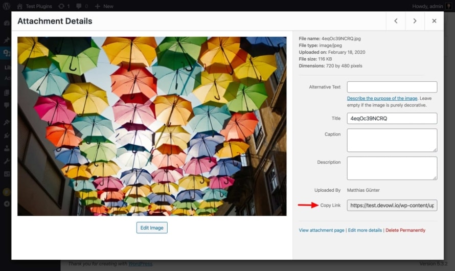 Link to a single image