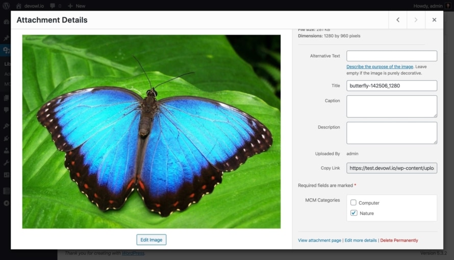 Step 2: Assign media upload to a category