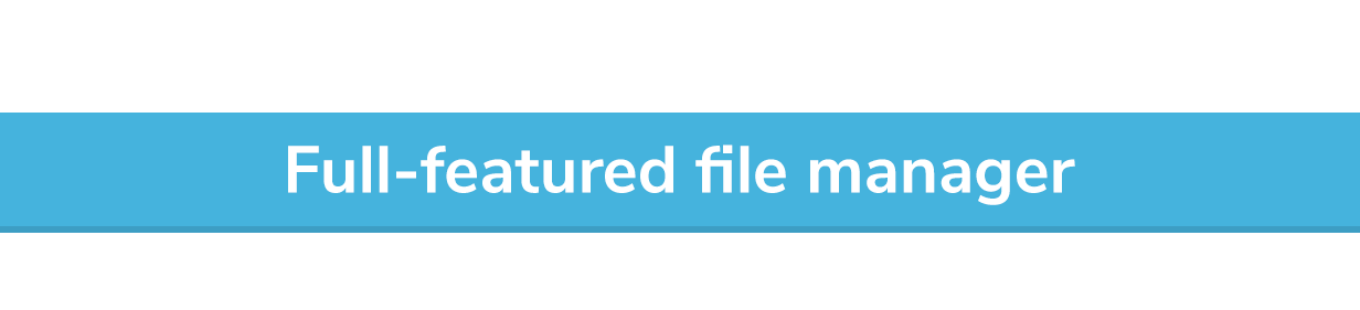 Full-featured file manager
