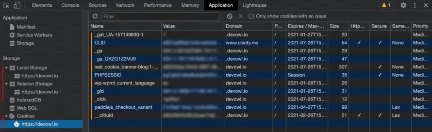 Auf einer Website gesetzte Cookies werden in den Google Chrome Entwickler-Tools angezeigt