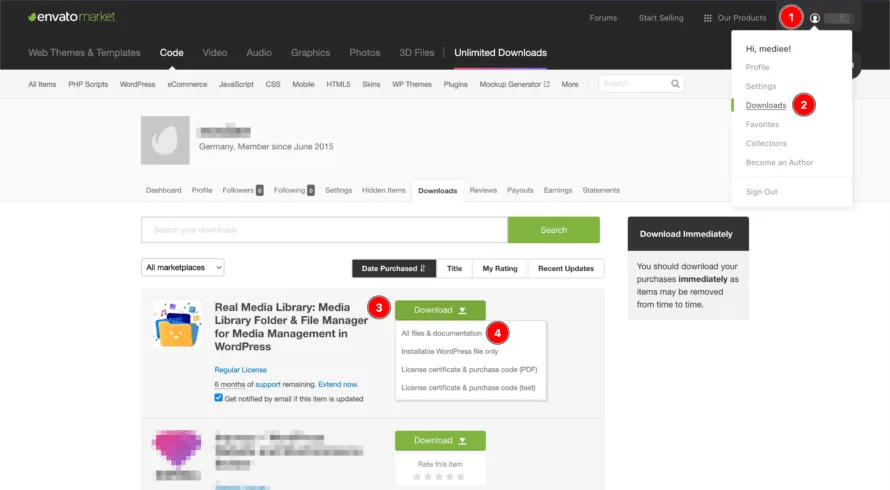 Downloading a WordPress plugin at codecanyon.net