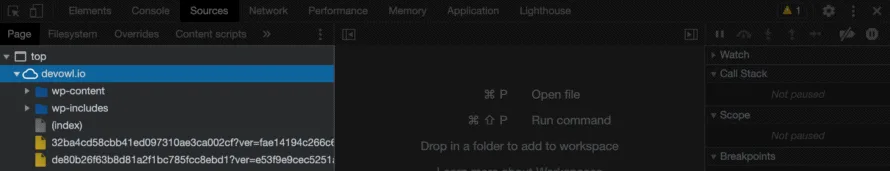 Die Google Chrome Entwickler-Tools zeigen die Quellen an, aus denen die Website Assets lädt, und es ist nur die Website selbst, die Assets lädt