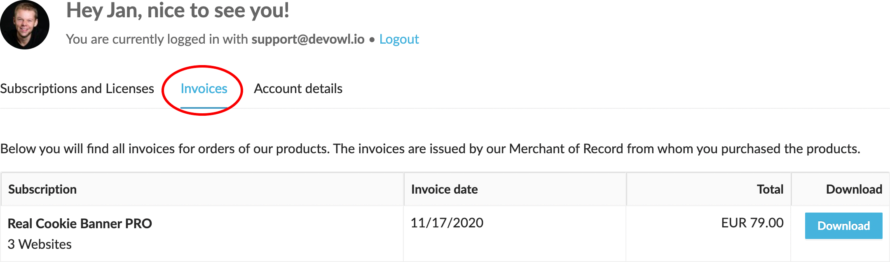 Invoices in the devowlio customer center