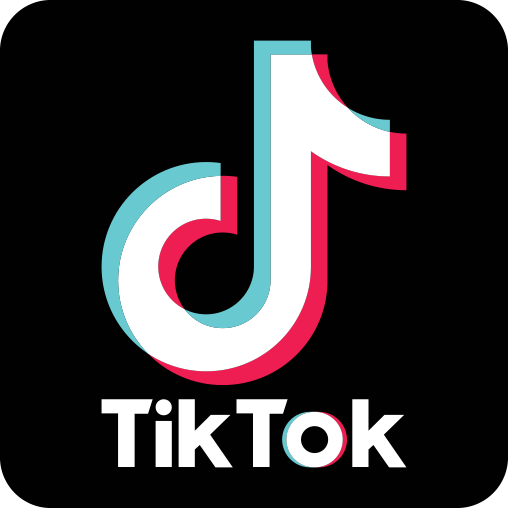 TikTok (Video) und TikTok Pixel