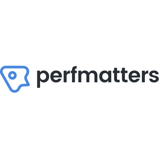 Perfmatters Google Analytics (Analytics 4)