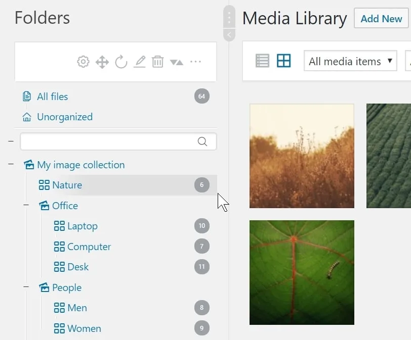 Create collections and galleries